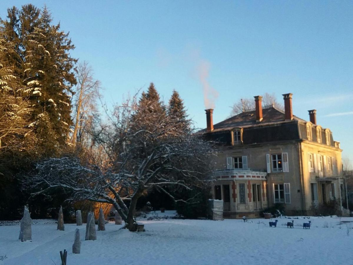 MaisonMazerand Cirey-sur-Vezouze Esterno foto