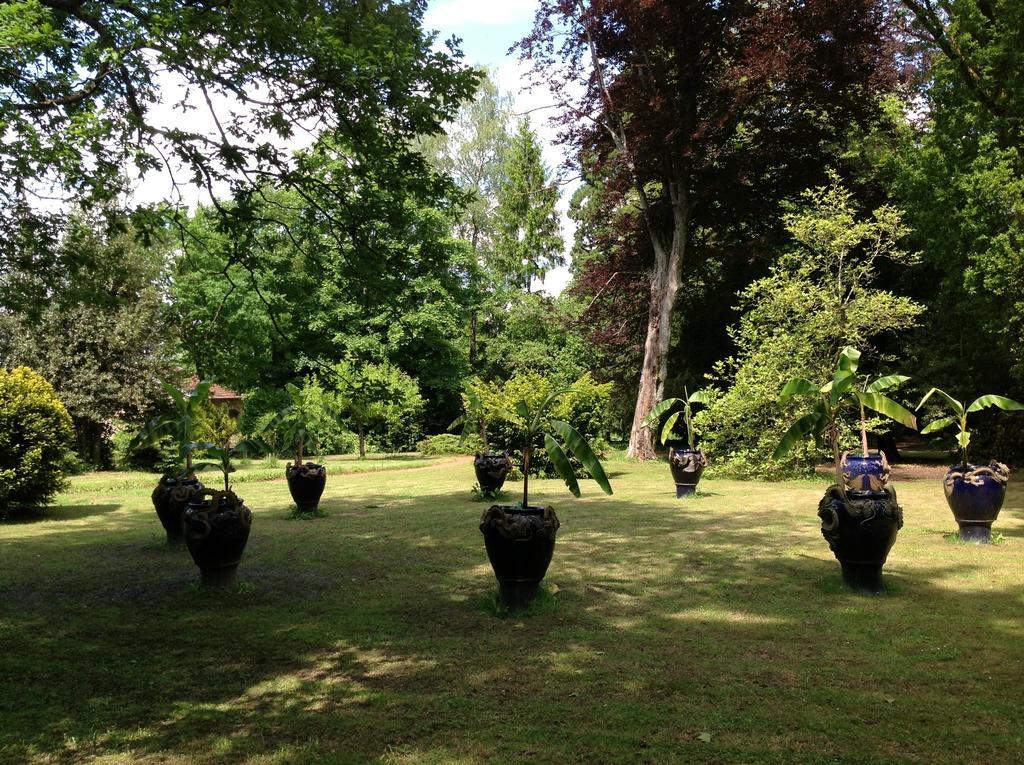 MaisonMazerand Cirey-sur-Vezouze Esterno foto