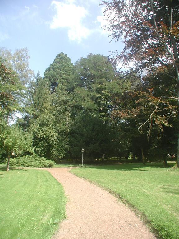 MaisonMazerand Cirey-sur-Vezouze Esterno foto